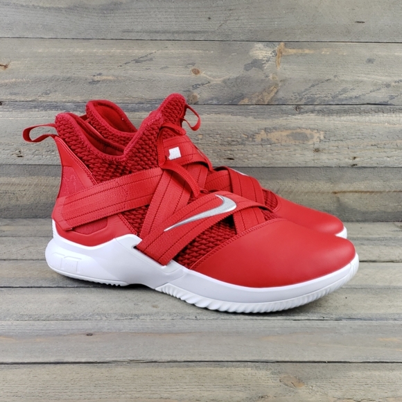 nike zoom lebron soldier xii tb 